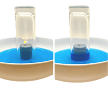 Shapes and Colors Fun